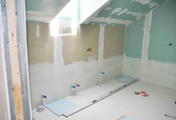 Best Drywall Removal and Disposal  in Clinton, IL